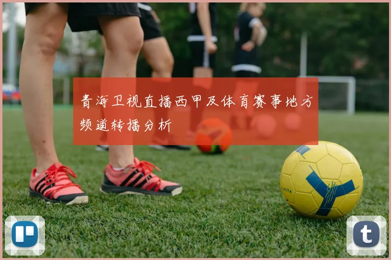 青海卫视直播西甲及体育赛事地方频道转播分析